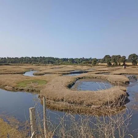 Well-kept 7 Km From The * Saint-Hilaire-de-Talmont